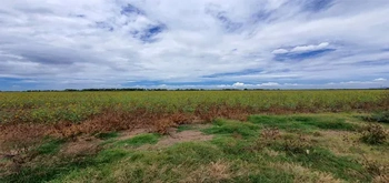 13_2692 | En Venta excelente Predio Agrícola, San Miguel Zapotitlán. | GCI Bienes Raíces