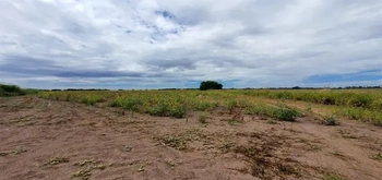 13_2691 | En Venta excelente Predio Agrícola, San Miguel Zapotitlán. | GCI Bienes Raíces